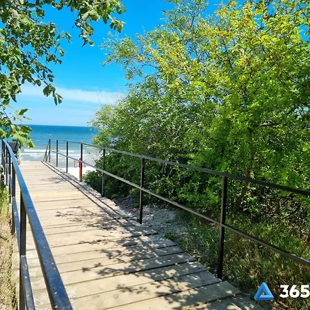 365pam - C35 Dominikana