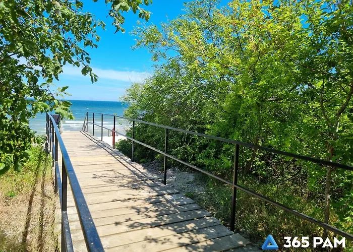 365pam - C35 Dominikana